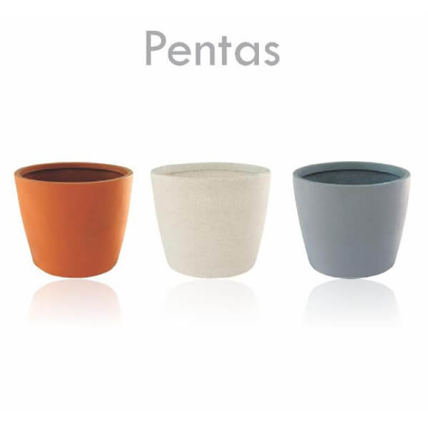 PENTAS ORP - 03 - Product Image