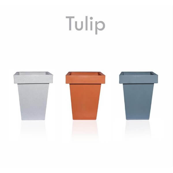TULIP ORP - 07 - Product Image